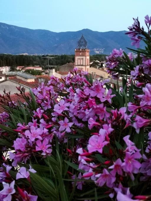 Villa Casa Rosa, Un Petit Cocon Catalan à Ortaffa Extérieur photo